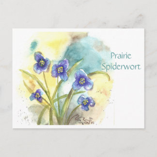 Prairie Spiderwort Post Card Postkarte
