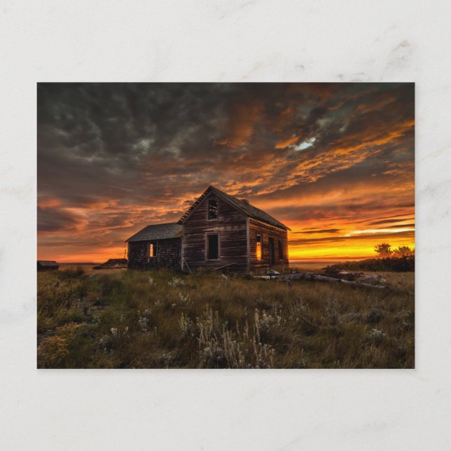 Prairie Sunrise Postcard Postkarte (Vorderseite)