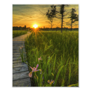 Prairie Sunset Fotodruck