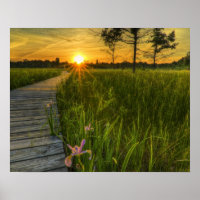 Prairie Sunset