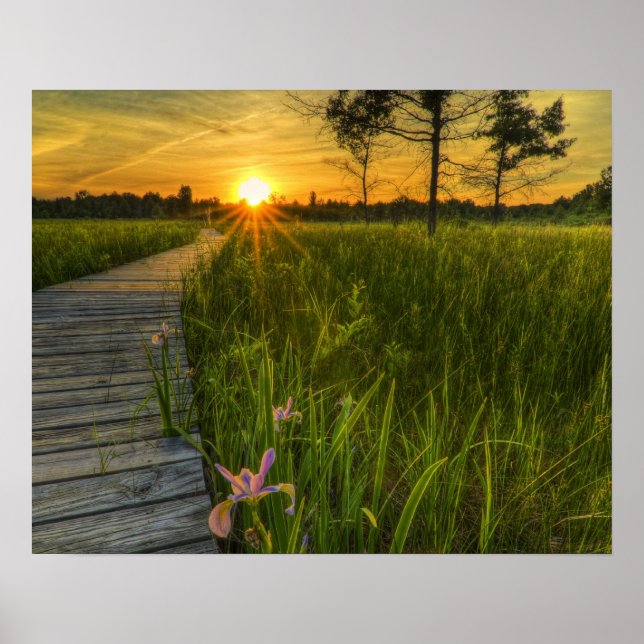 Prairie Sunset Poster (Vorne)