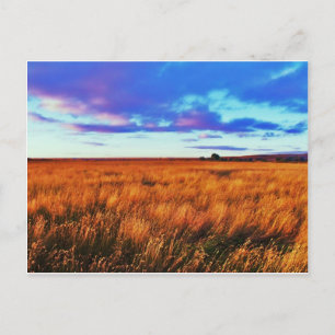 Prairie Sunset Postkarte