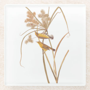 Prairie Warbler Audubon Yellow Bird Glasuntersetzer