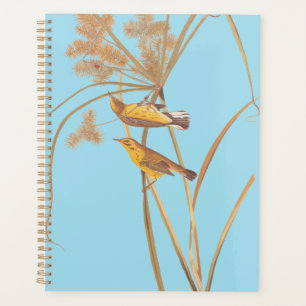 Prairie Warbler Audubon Yellow Bird Planer