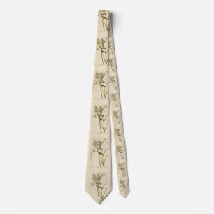 Prairie Warbler von Audubons Vögeln von Amerika Krawatte