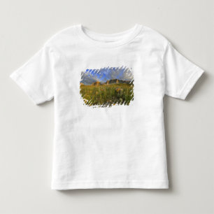 Prairie-Wildblumen bei Windy Creek in Many Kleinkind T-shirt