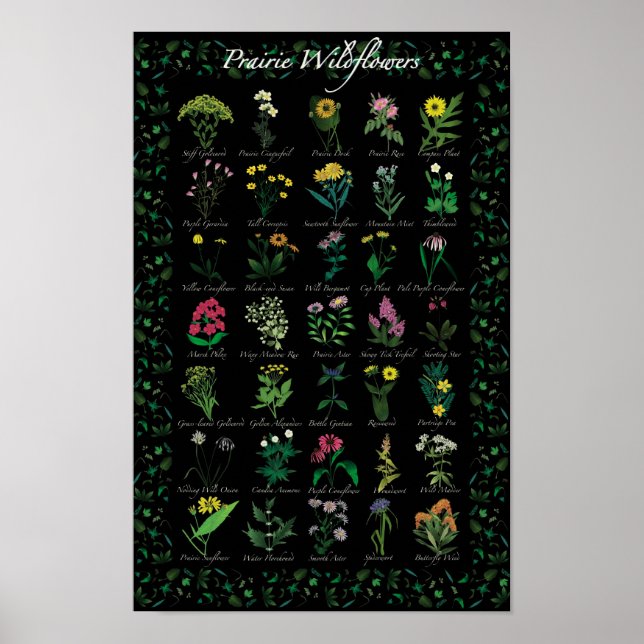 Prairie Wildblumen Poster (Vorne)