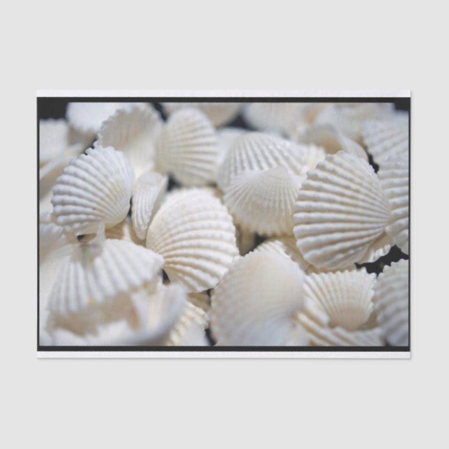 Prämie der Muscheln Seidenpapier (Vorderseite)