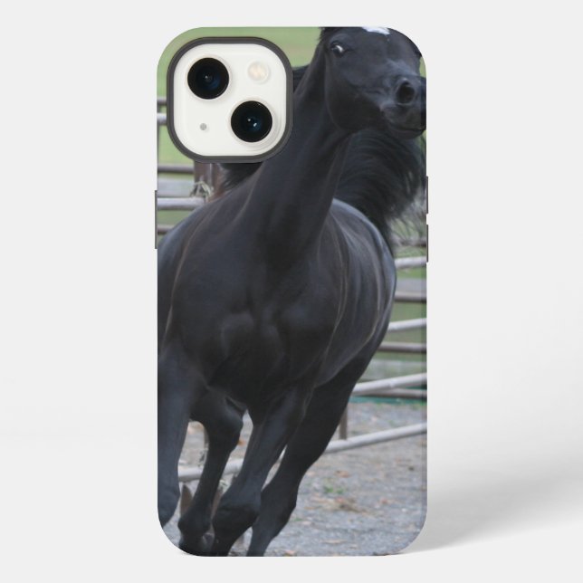 Prancing Black Arabian iPhone Hülle (Rückseite)