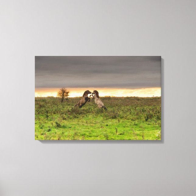 Prancing Pferde Leinwand (Vorderseite)