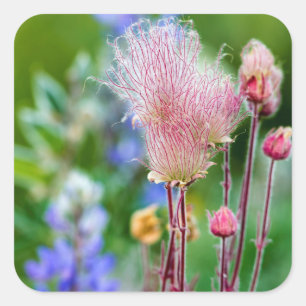 Prärie-Rauch-Wildblumen im Espenhain 2 Quadratischer Aufkleber