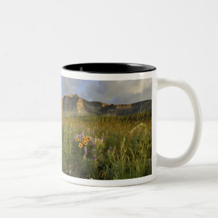 Prärie-Wildblumen im Gletschertal Zweifarbige Tasse