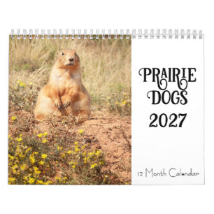 Präriehund 2027 12-Monatskalender Kalender