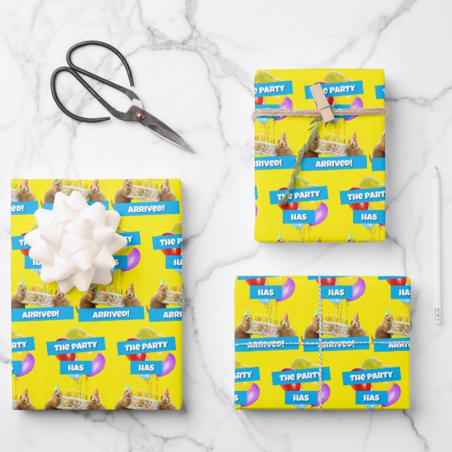 Präriehund-Geburtstagsfeier Geschenkpapier Set (Vorderseite)