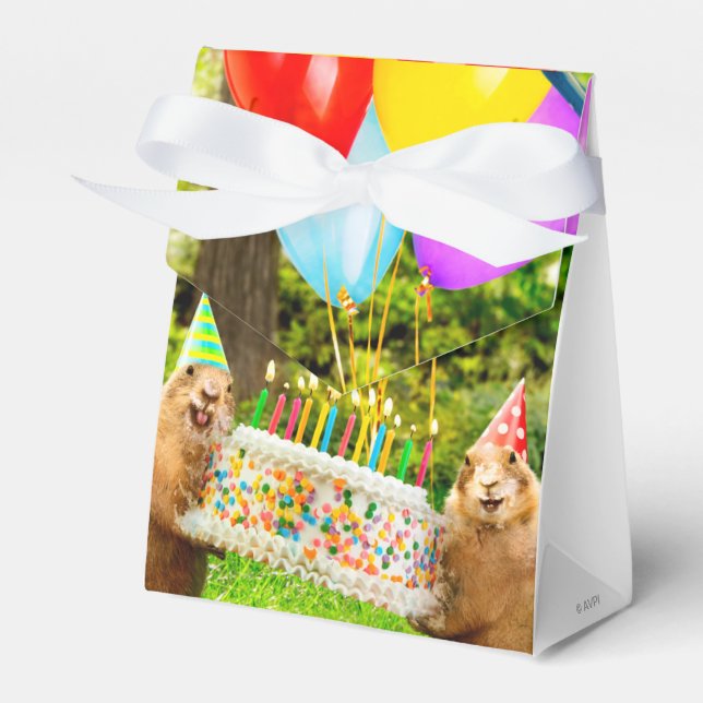 Präriehund-Geburtstagsfeier Geschenkschachtel (Vorderseite)