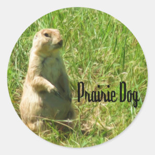 Präriehund Runder Aufkleber