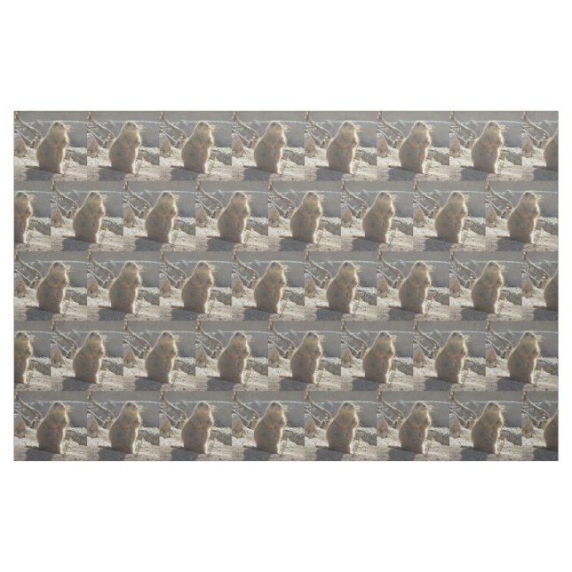 Präriehund Stoff (Fat Quarter (45,7 x 55,9 cm))