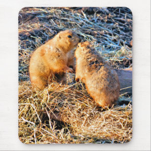PRÄRIEHUNDE MOUSEPAD