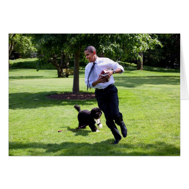 Präsident Barack Obama & Bo (Vorderseite (Horizontal))