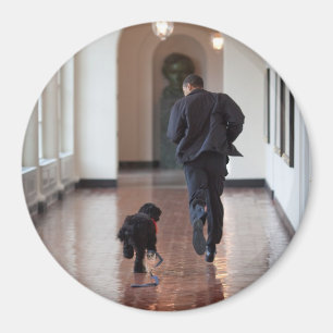 Präsident Barack Obama & Bo Magnet