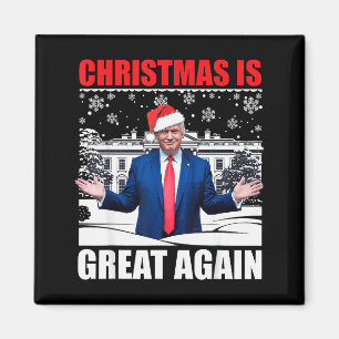 Präsident Donald 2024  Magnet