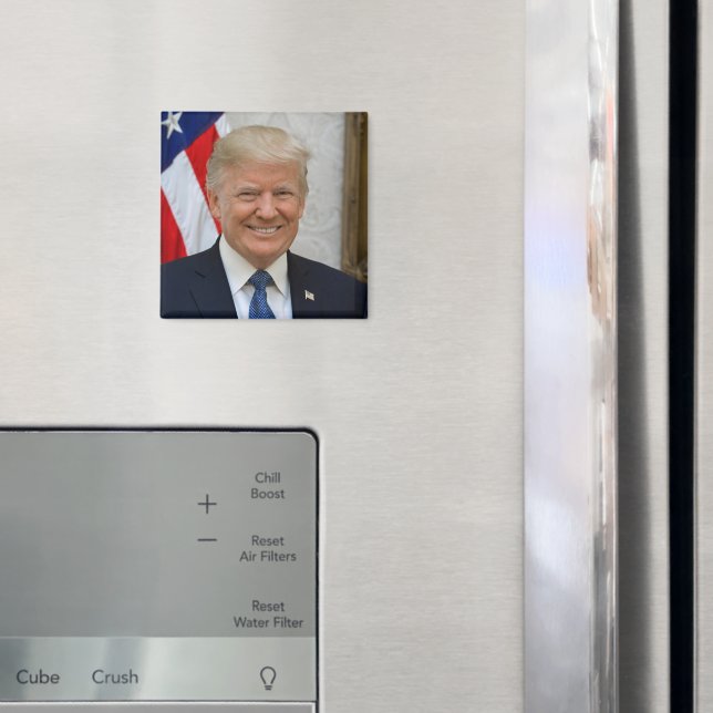 Präsident Donald Trump Offizielles Portrait 2017 Magnet (In Situ (Kühlschrank))
