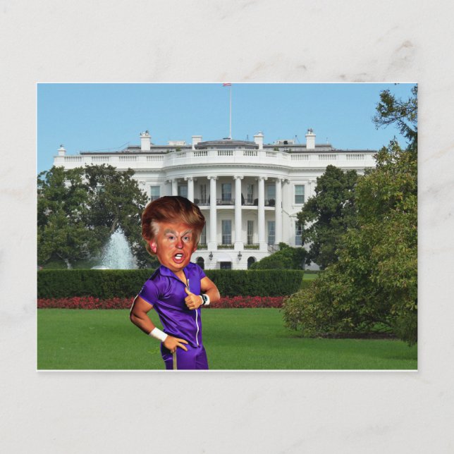 Präsident Donald Trump Postkarte (Vorderseite)