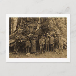 Präsident Roosevelt und John Muir Beneath (Sepia) Postkarte