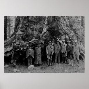 Präsident Roosevelt und John Muir California 1903 Poster