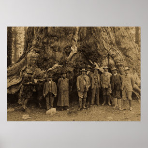 Präsident Roosevelt und John Muir California Sepi Poster