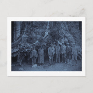 Präsident Roosevelt und John Muir (Cyan) Postkarte