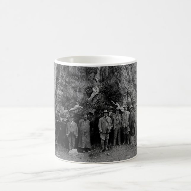 Präsident Roosevelt und John Muir Kalifornien 1903 Kaffeetasse (Mittel)