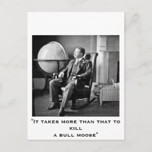 Präsident Teddy Roosevelt Vintage White House Postkarte