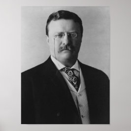 Präsident Theodore Roosevelt - 1904 Poster