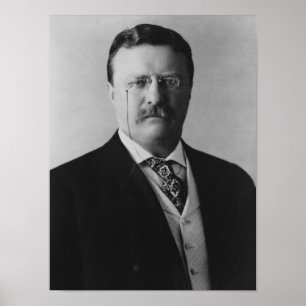 Präsident Theodore Roosevelt - 1904 Poster
