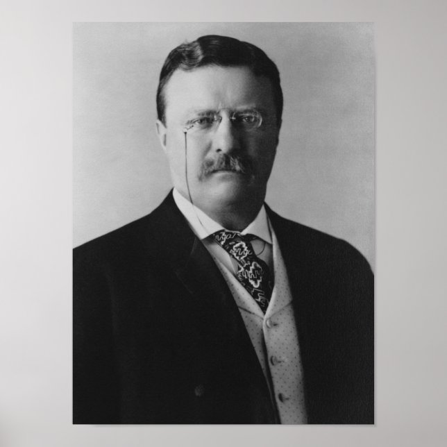 Präsident Theodore Roosevelt - 1904 Poster (Vorne)
