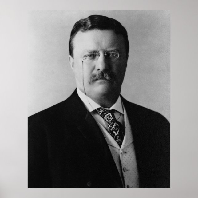 Präsident Theodore Roosevelt Portait Poster (Vorne)