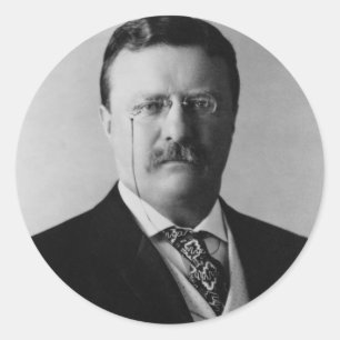 Präsident Theodore Roosevelt Portrait Runder Aufkleber