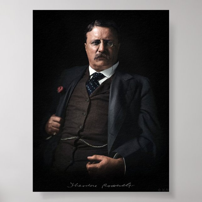 Präsident Theodore Roosevelt Poster (Vorne)