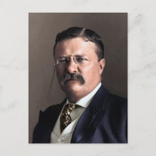 Präsident Theodore Roosevelt Postkarte