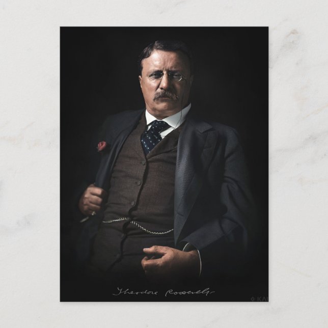 Präsident Theodore Roosevelt Postkarte (Vorderseite)