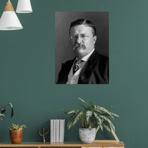 Präsident Theodore Teddy Roosevelt Republikaner Poster