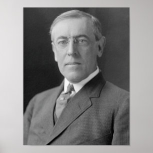 Präsident Woodrow Wilson Poster