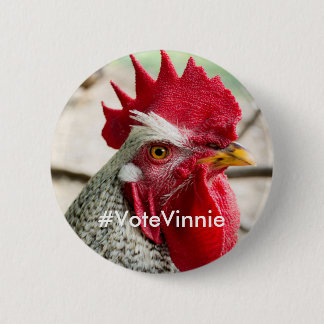 Präsidentschaftsanwärter Vinnie Kampagnen-Knopf Button