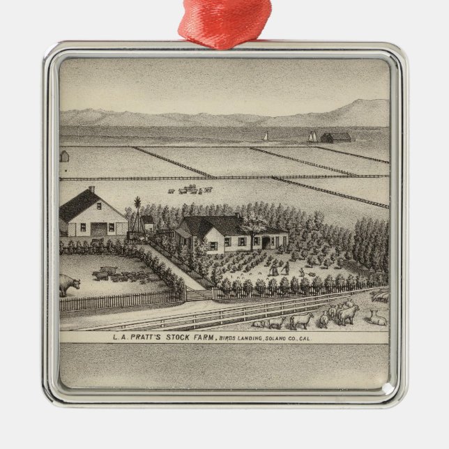 Pratt, Stewart-Bauernhöfe Silbernes Ornament (Vorne)