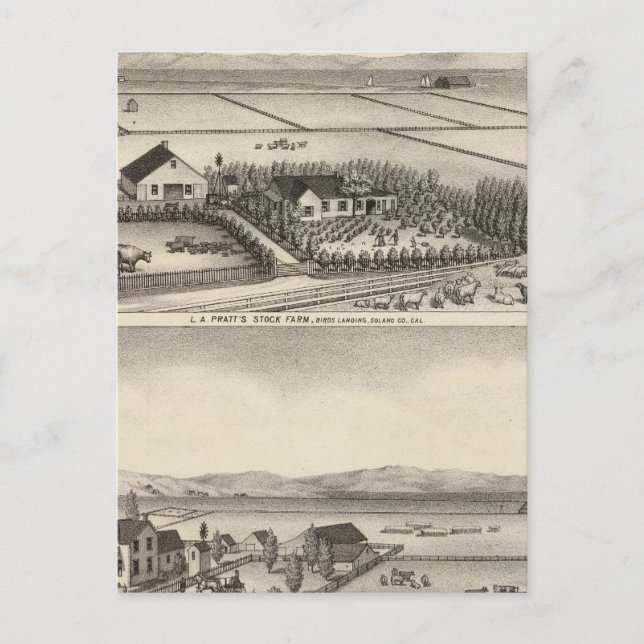 Pratt, Stewart Farmen Postkarte (Vorderseite)