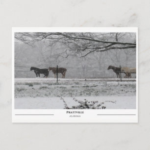 Prattville Alabama Postkarte