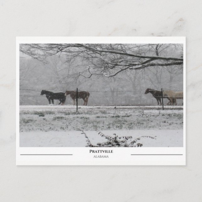 Prattville Alabama Postkarte (Vorderseite)
