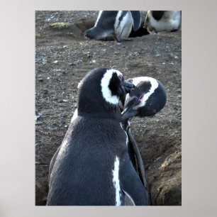 Präventivmaßnahmen für Partner Poster