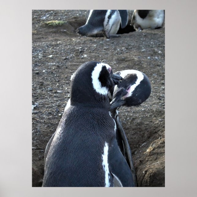 Präventivmaßnahmen für Partner Poster (Vorne)